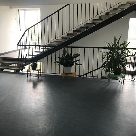 בלגרד Arena Apartman מראה חיצוני תמונה