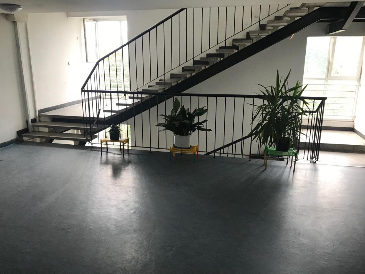בלגרד Arena Apartman מראה חיצוני תמונה